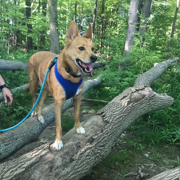 Meet your Posher, Katee - Picture 2 of 5